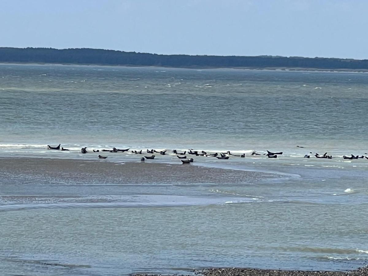 A 50m Reves Etoiles Les Bains De Appartement